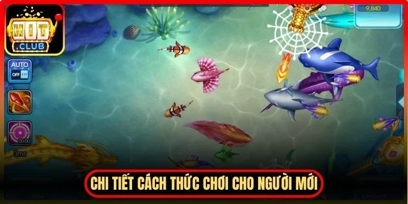 Chi tiết cách thức chơi cho người mới và kinh nghiệm nâng cao